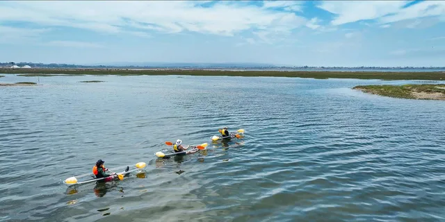 San Diego Crystal Clear Kayak Rental - Image 5
