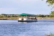 Charleston Magnolia Plantation & Gardens Tour thumbnail 5