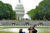Washington, DC Private City Tour by Van thumbnail 5