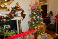 Atlanta Holiday Tour thumbnail 2