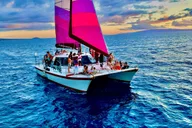 Maalaea Whale Watching Catamaran Cruise with Drinks thumbnail 5