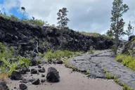 Hawaii Volcanoes National Park Private Tour thumbnail 6