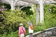 Boston Day Trip to New England Botanic Gardens thumbnail 2