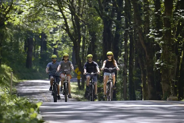 Portland E-Bike Waterfall Tour 2 hr - Image 6