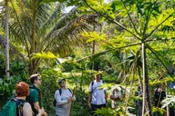 Maui Rainforest Waterfall Hiking Adventure thumbnail 6