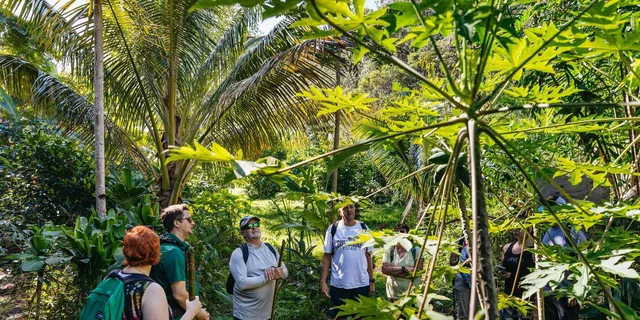 Maui Rainforest Waterfall Hiking Adventure - Image 6