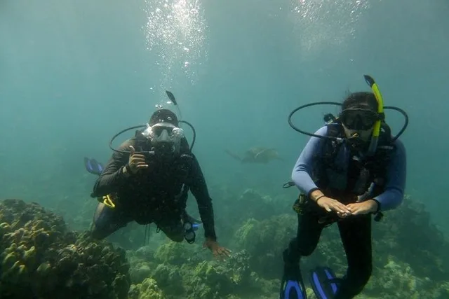 Maui Scuba Diving Experience - Image 2