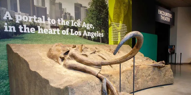 Los Angeles La Brea Tar Pits Museum Ticket - Image 6