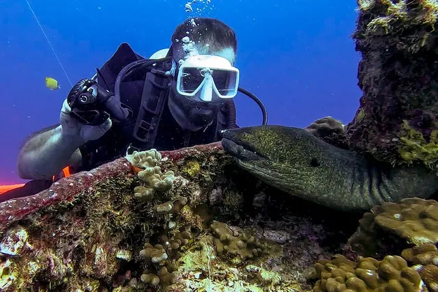 Honolulu Scuba Diving Adventure for Certified Divers - Image 6