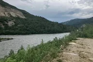 Denali Shuttle Service thumbnail 1