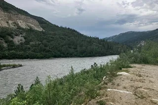 Denali Shuttle Service