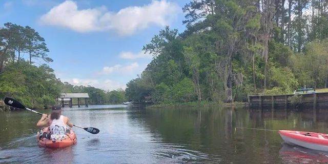 Jacksonville Kayak Rental Adventure on Ortega River - Image 2