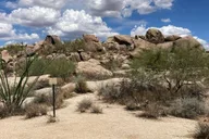 Scottsdale Mountain Bike Tour in Sonoran Desert 2 hr thumbnail 4