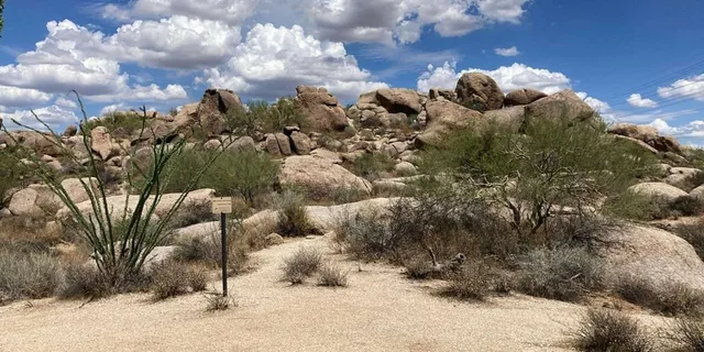 Scottsdale Mountain Bike Tour in Sonoran Desert 2 hr - Image 4