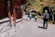 Bainbridge Island Discovery Tour 2 hr thumbnail 3