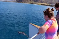 Oahu Off-Road ATV and Sunset Cruise Combo thumbnail 4