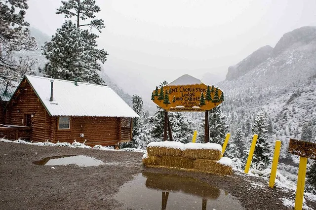 Las Vegas Mount Charleston Tour - Image 3