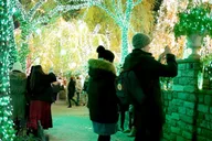Brooklyn Christmas Lights Walking Tour thumbnail 6