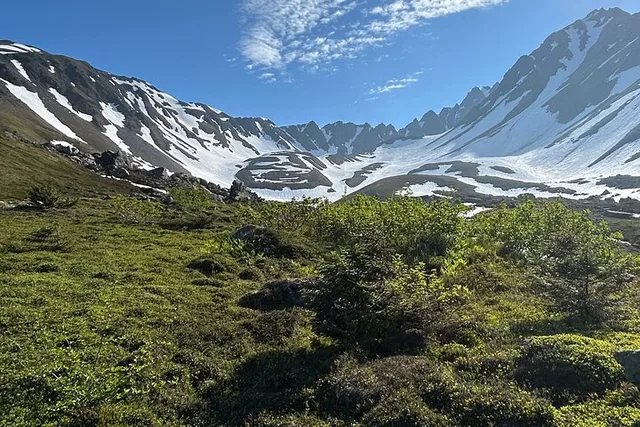 Seward Hiking Tour on Mount Marathon - Image 5