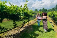 Atlanta Private Wine Tasting Tour thumbnail 2