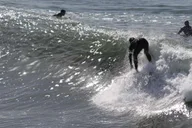 Venice Beach Bike Rental thumbnail 6