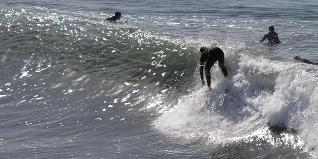 Venice Beach Bike Rental - Image 6