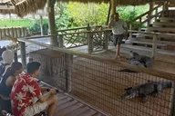 Miami Everglades National Park Small Group Tour thumbnail 6