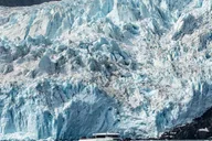 Seward Kenai Fjords National Park Cruise 7 hr thumbnail 2