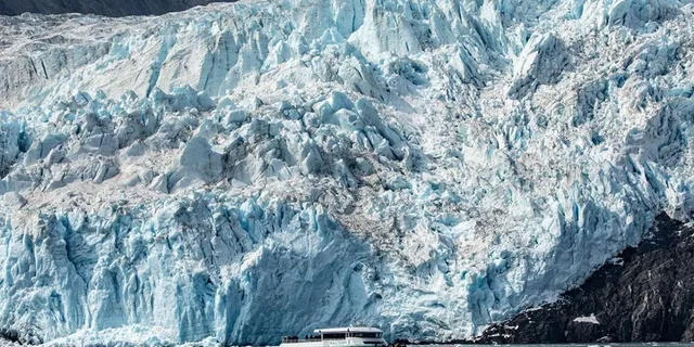 Seward Kenai Fjords National Park Cruise 7 hr - Image 2