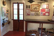 New Orleans Plantation and Swamp Tour Full-Day thumbnail 3