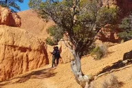 Las Vegas Zion and Bryce Canyon Day Tour thumbnail 1