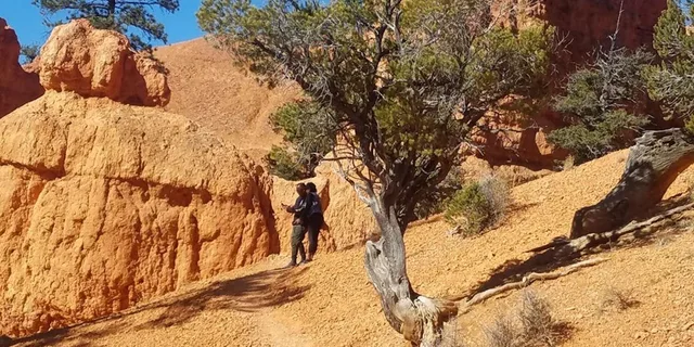 Las Vegas Zion and Bryce Canyon Day Tour - Image 1