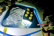 Kailua-Kona Manta Ray Night Snorkel Tour thumbnail 2
