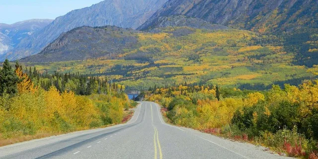 Skagway City & White Pass Summit Tour - Image 2