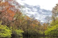 Myrtle Beach River Island Adventure thumbnail 4