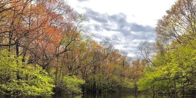 Myrtle Beach River Island Adventure - Image 4