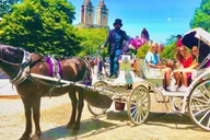 New York City Central Park Horse and Carriage Tour thumbnail 5