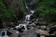 Skagway City Tour and White Pass Summit Adventure thumbnail 6