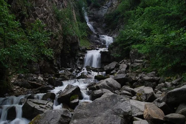 Skagway City Tour and White Pass Summit Adventure - Image 6