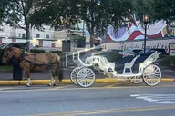 Galveston Carriage Tour thumbnail 1