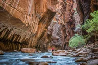 Las Vegas Zion National Park Day Trip thumbnail 3
