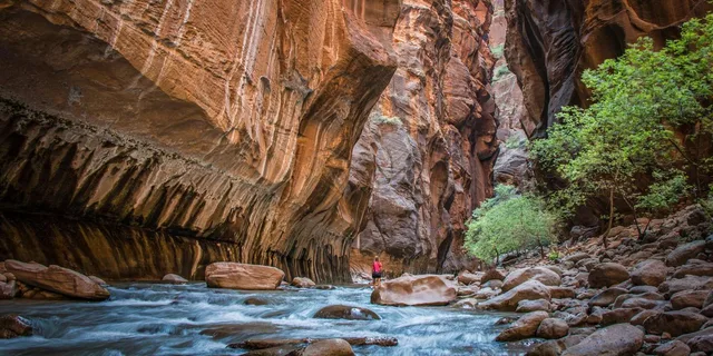 Las Vegas Zion National Park Day Trip - Image 3