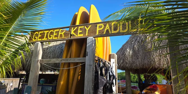 Key West Mangrove Kayak or SUP Eco Tour 2 hr - Image 1