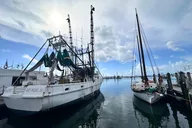Key West Walking Tour thumbnail 3