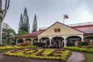 Oahu Hawaiian Culture Private Tour thumbnail 6