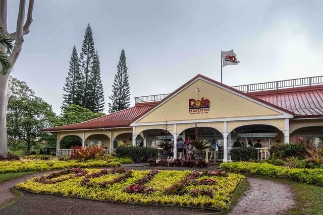 Oahu Hawaiian Culture Private Tour - Image 6