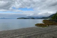 Ketchikan Low Tide Excursion and Totem Bight Park thumbnail 6