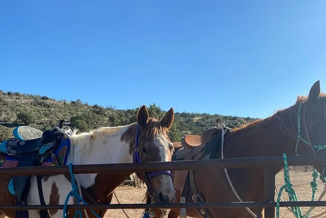 Las Vegas Grand Canyon Horseback Tour - Image 3