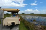 Miami Everglades Airboat and Tram Tour thumbnail 5