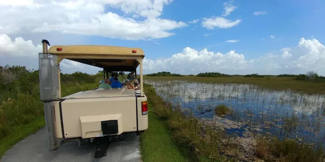 Miami Everglades Airboat and Tram Tour - Image 5